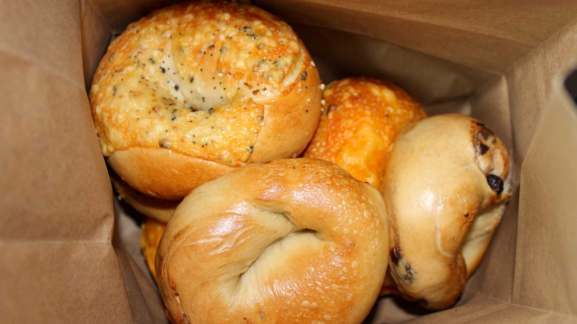 Jeff's Bagel Run to go