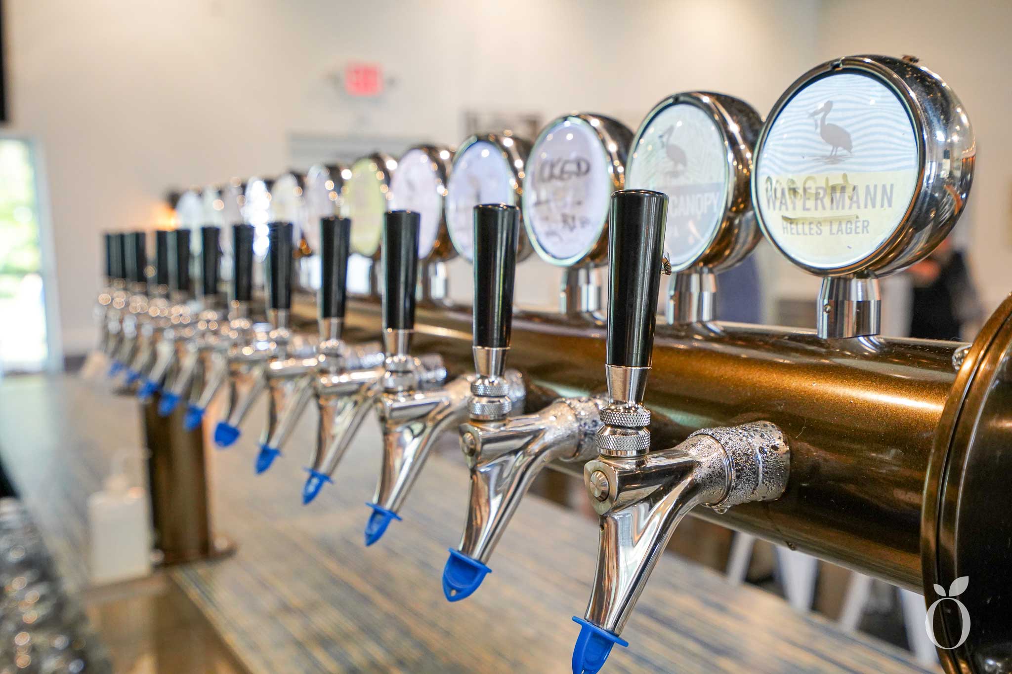 10 Taps are featured at Windermere Brewing Company in downtown Windermere, FL