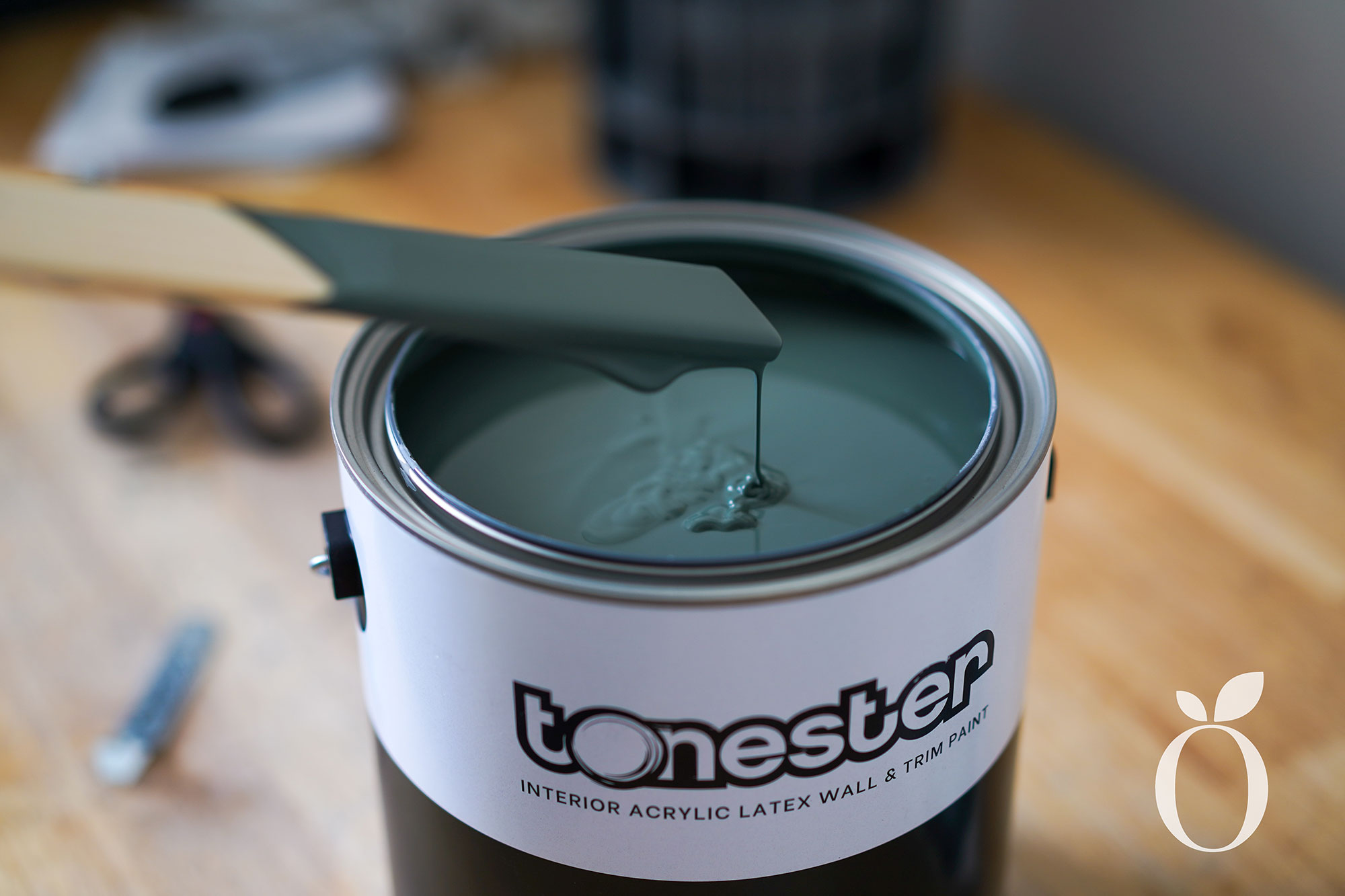 Tonester-Paint-Color